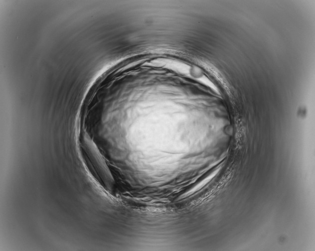 X0000098201032200805081106