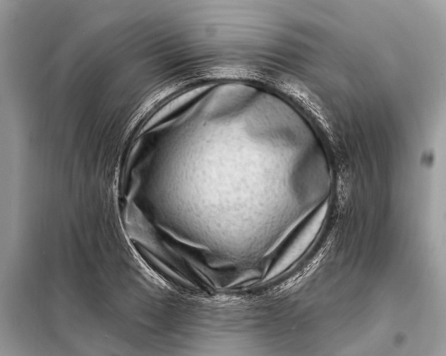 X0000098201033200805081106