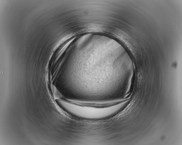 X0000098201034200805081106