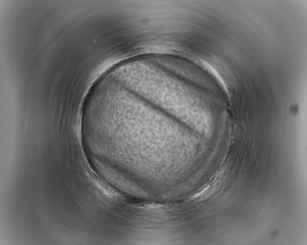 X0000098201035200805081106