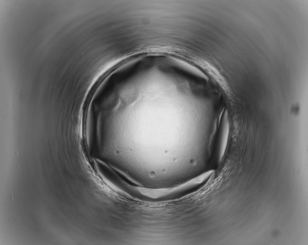X0000098201036200805081106