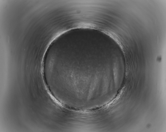 X0000098201037200805081107