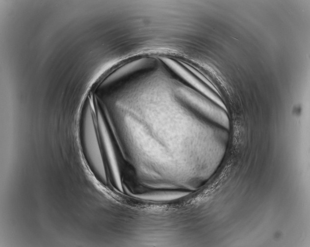 X0000098201038200805081107