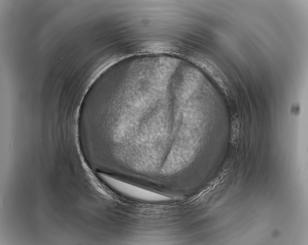 X0000098201039200805081107