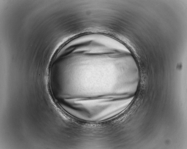 X0000098201040200805081107