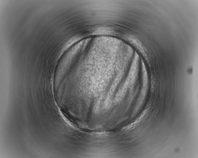 X0000098201041200805081107