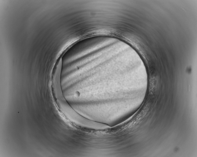 X0000098201042200805081107