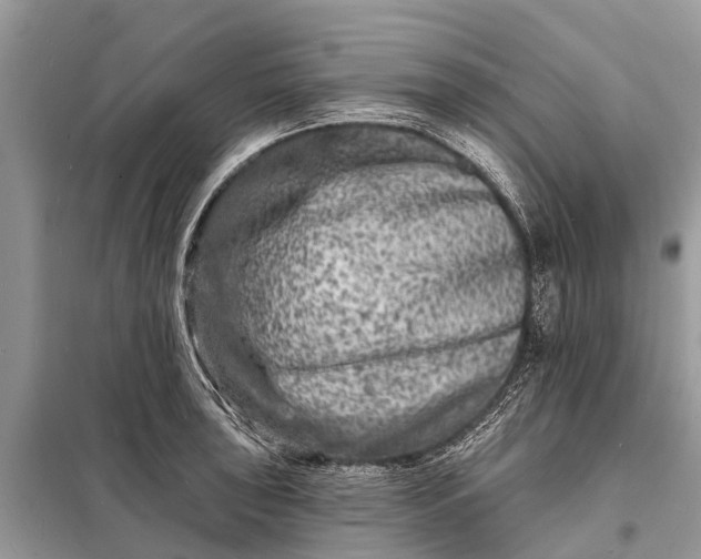 X0000098201043200805081107