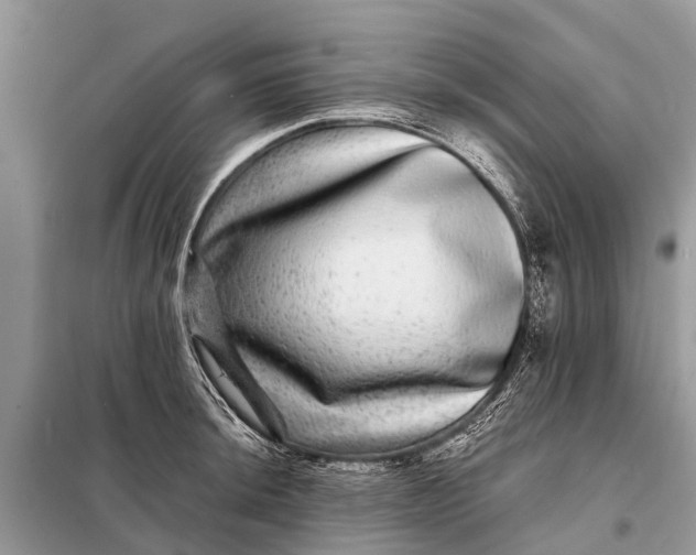 X0000098201044200805081107