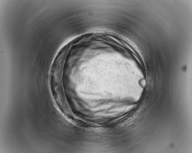 X0000098201045200805081107