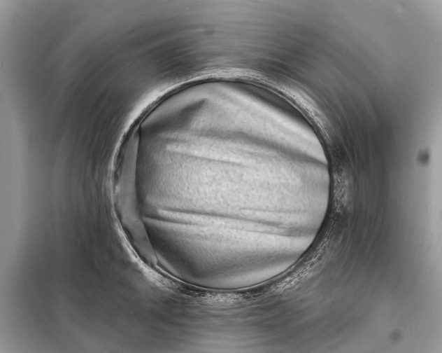X0000098201046200805081107