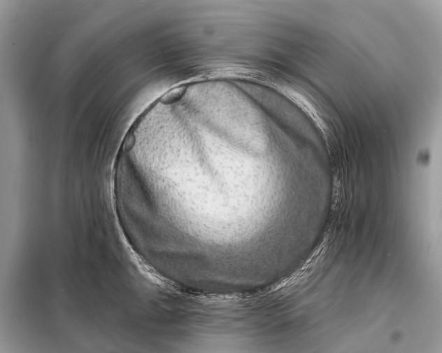 X0000098201047200805081107