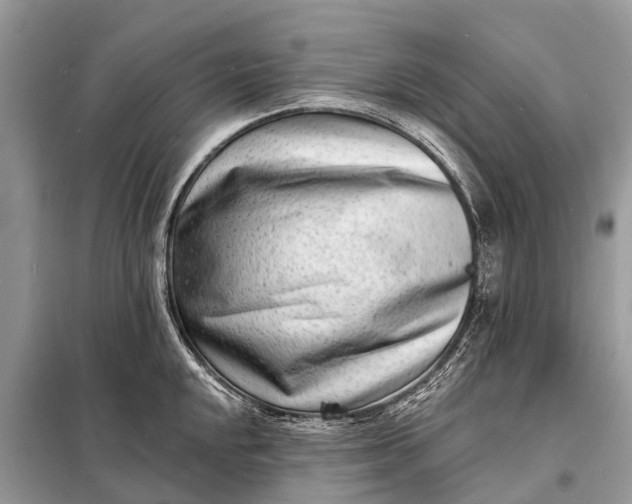 X0000098201048200805081107