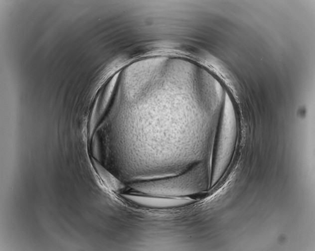 X0000098201049200805081107