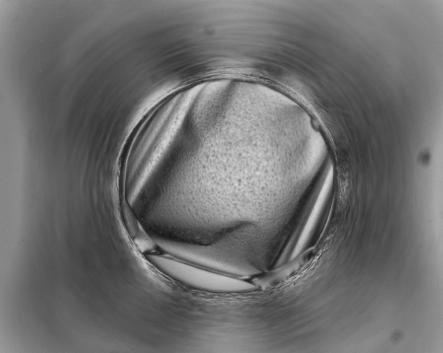 X0000098201050200805081107