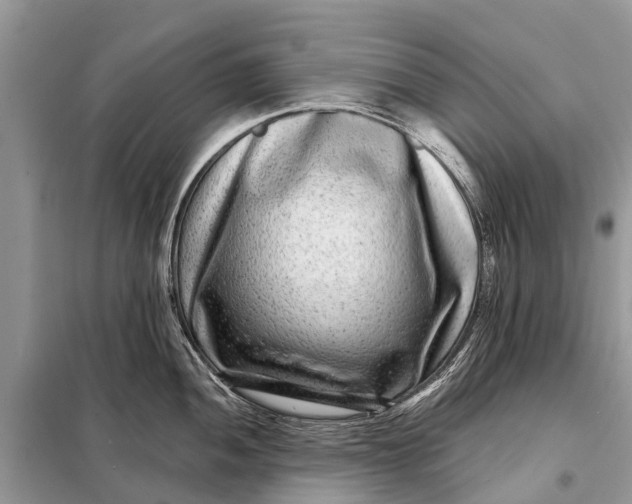 X0000098201052200805081107