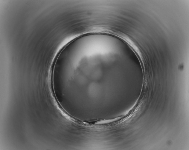 X0000098201053200805081107