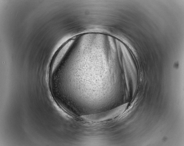 X0000098201054200805081107