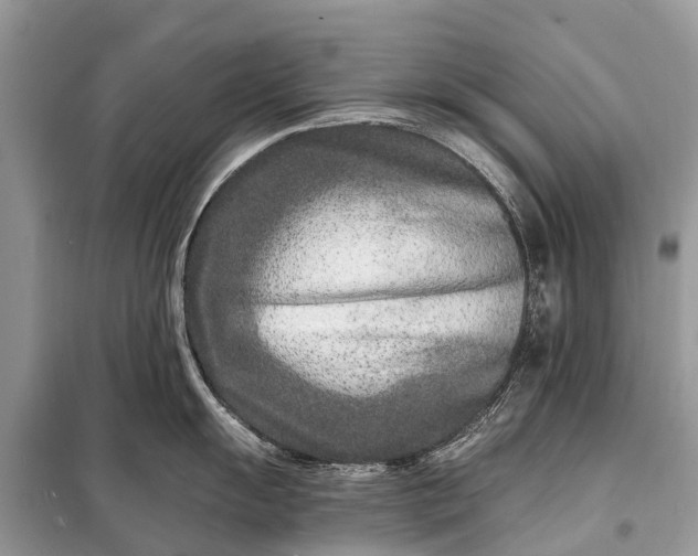 X0000098201055200805081107