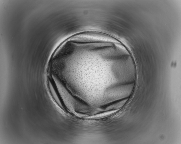 X0000098201056200805081107