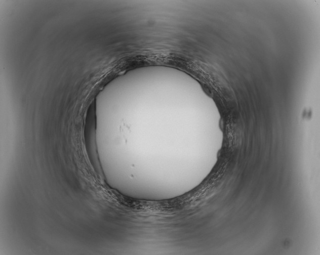 X0000098201057200805081106