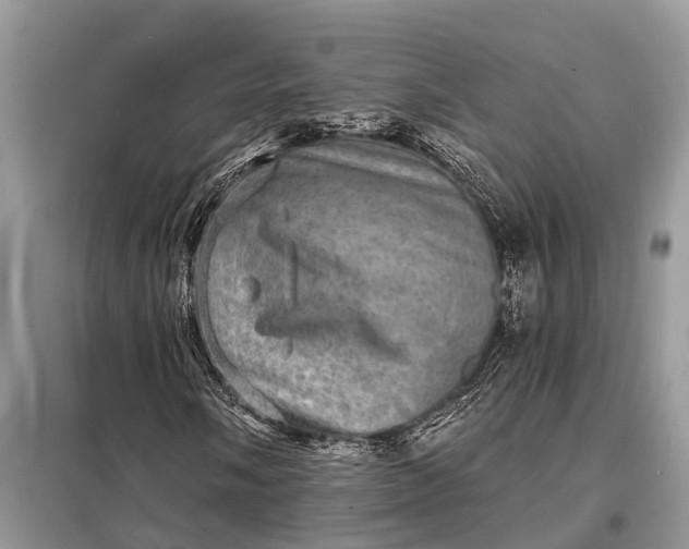 X0000098201058200805081106