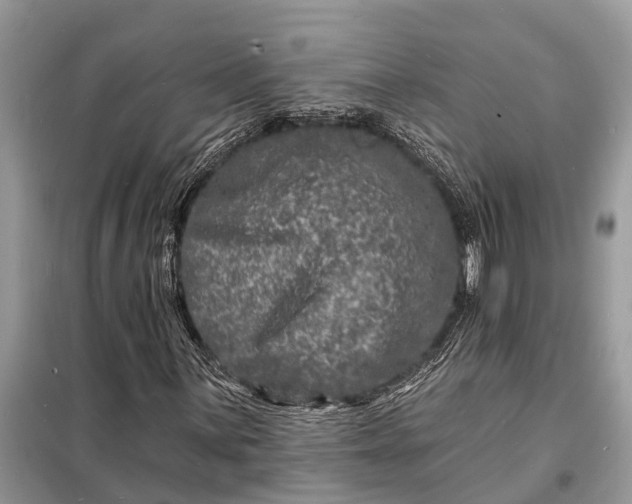 X0000098201059200805081106