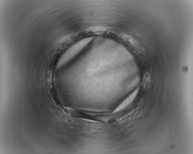 X0000098201062200805081106