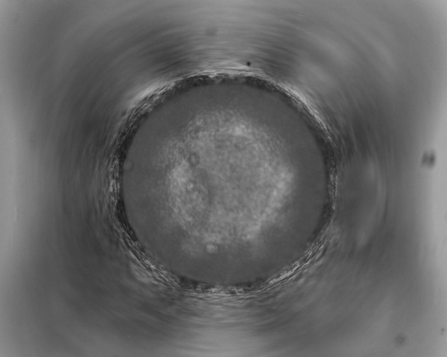 X0000098201063200805081106