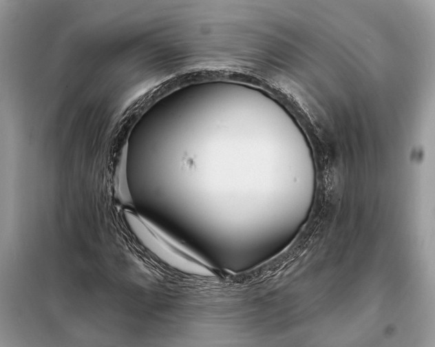 X0000098201064200805081106
