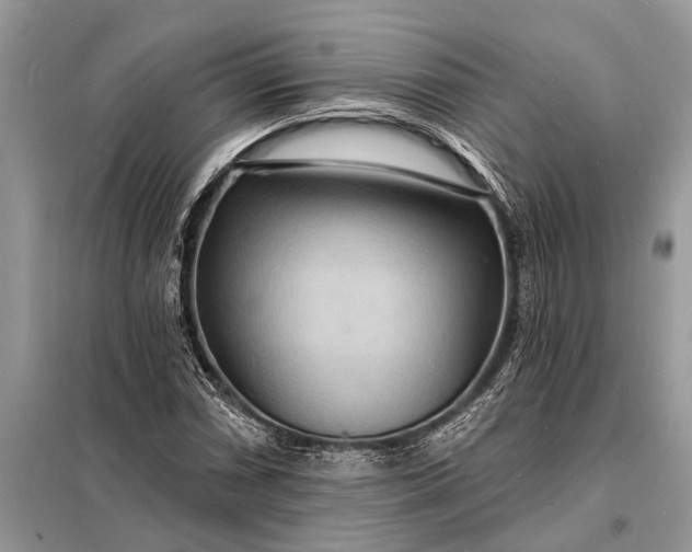 X0000098201066200805081106