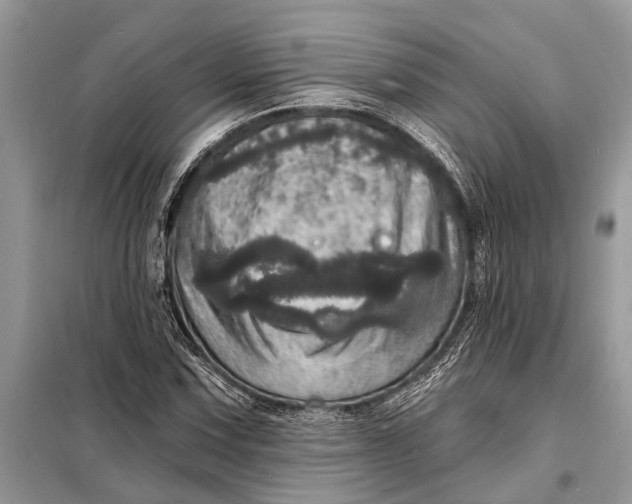 X0000098201067200805081106