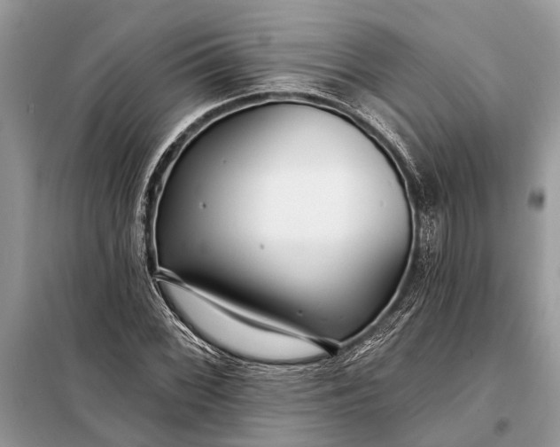 X0000098201068200805081106