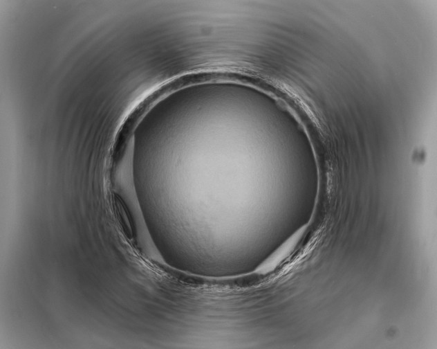 X0000098201069200805081106