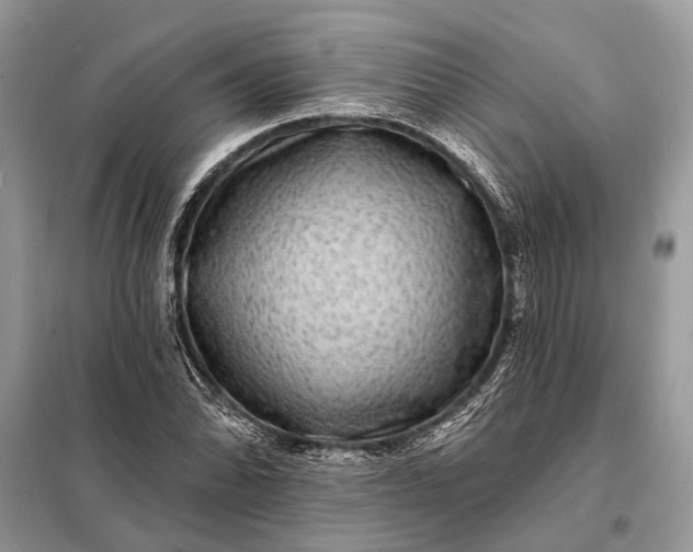 X0000098201070200805081106