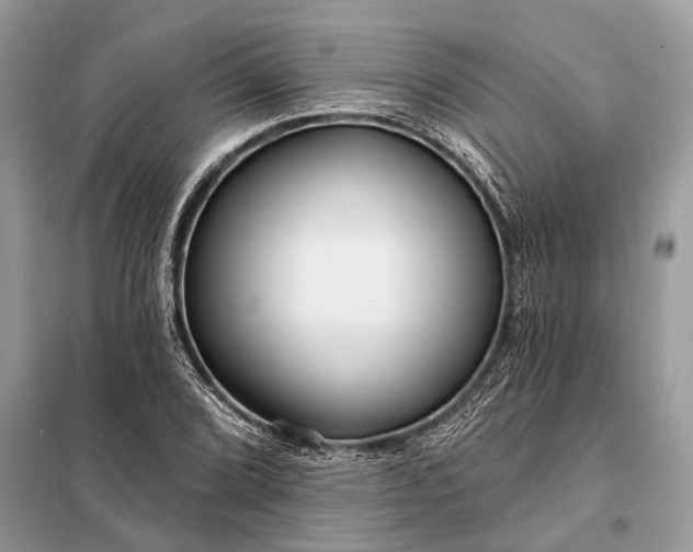 X0000098201072200805081106