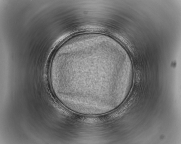 X0000098201074200805081106
