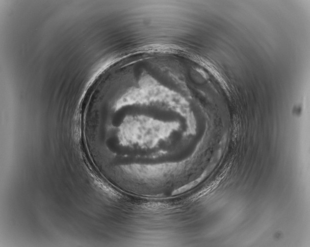 X0000098201075200805081106