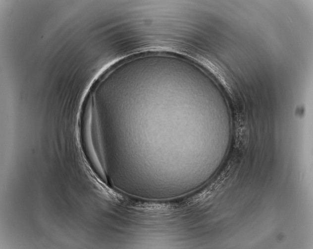 X0000098201076200805081106
