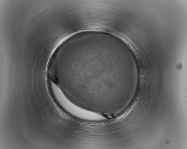 X0000098201077200805081106