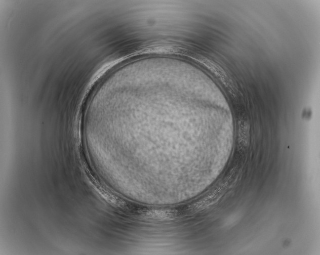 X0000098201078200805081106