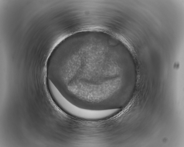 X0000098201079200805081106