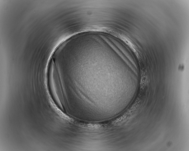 X0000098201080200805081106