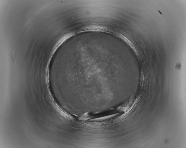 X0000098201082200805081106