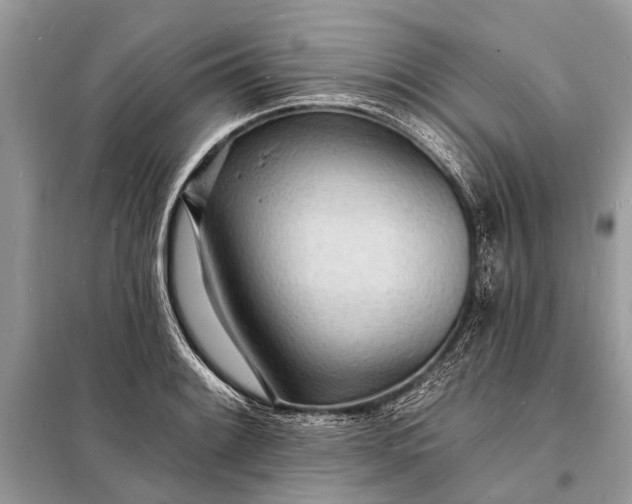 X0000098201084200805081106