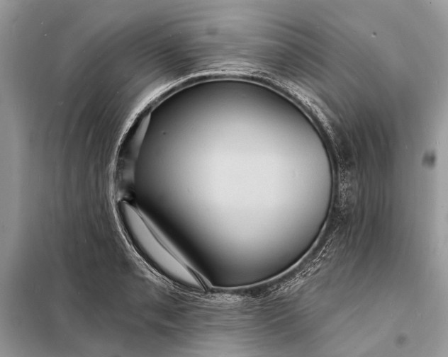 X0000098201085200805081106