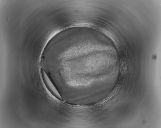 X0000098201087200805081105