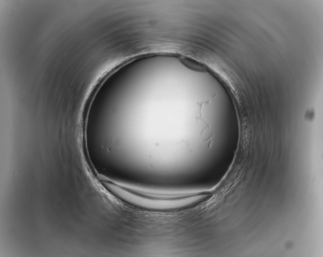 X0000098201088200805081105