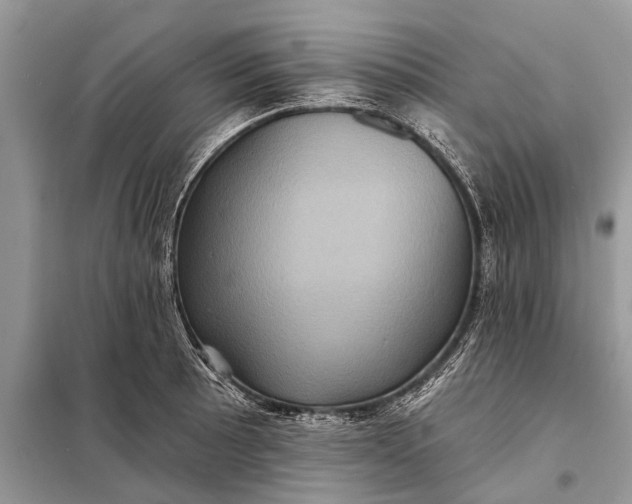 X0000098201089200805081105
