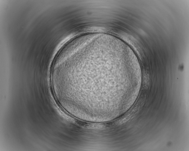X0000098201090200805081105